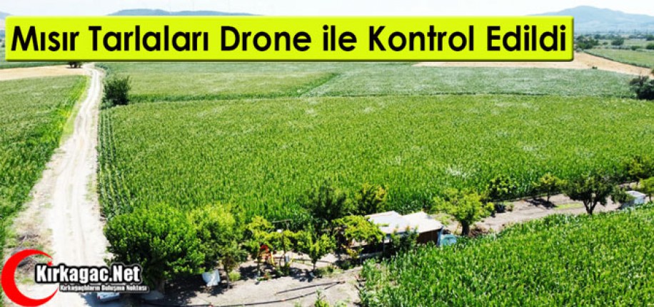 MISIR TARLALARI DRONE İLE KONTROL EDİLDİ