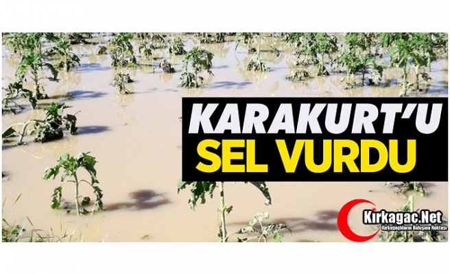 KARAKURT'U SEL VURDU