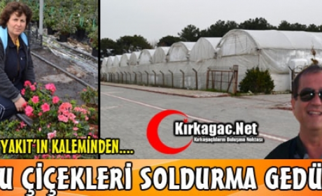 AKIN YAKIT “BU ÇİÇEKLERİ SOLDURMA GEDÜZ”