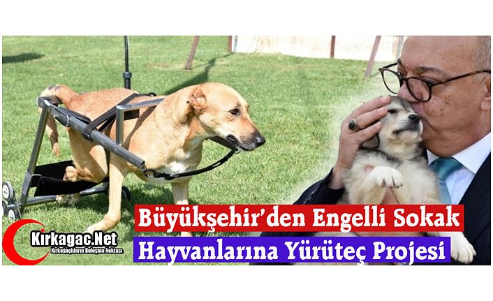 ENGELLİ HAYVANLARA YÜRÜTEÇ PROJESİ