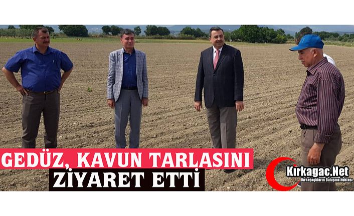 GEDÜZ, KAVUN TARLASINI ZİYARET ETTİ