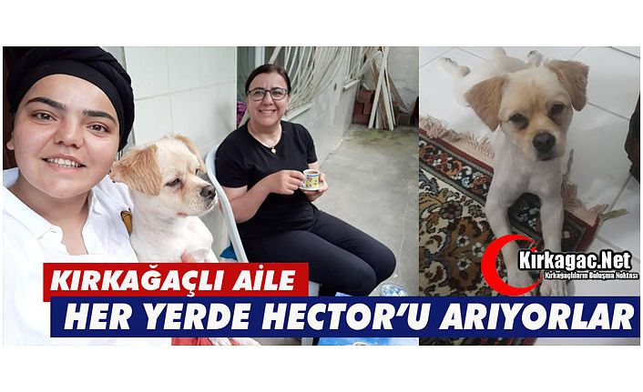 HER YERDE HECTOR'U ARIYORLAR