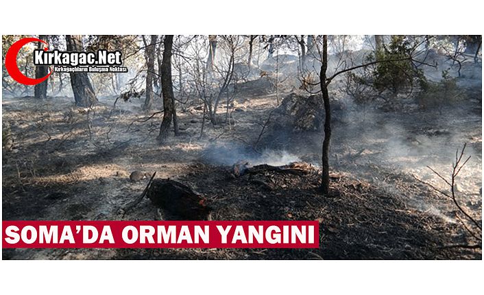 SOMA'DA ORMAN YANGINI