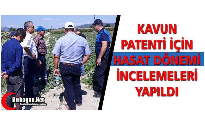 KAVUN PATENTİ İÇİN HASAT DÖNEMİ İNCELEMELERİ YAPILDI