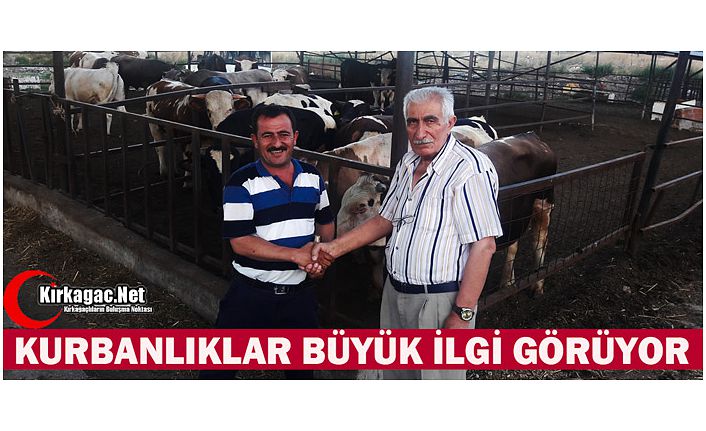 KIRKAĞAÇ'TA KURBANLIKLARA İLGİ BÜYÜK