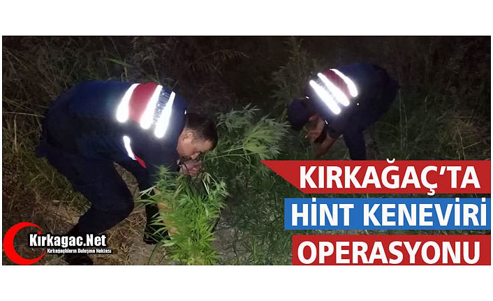 KIRKAĞAÇ’TA KENEVİR OPERASYONU