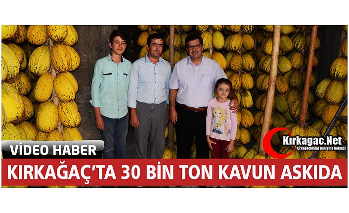 KIRKAĞAÇ’TA 30 BİN TON KAVUN ASKIDA(ÖZEL HABER)