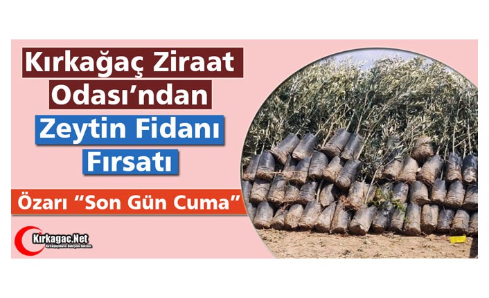 ZİRAAT ODASI’NDAN ZEYTİN FİDANI FIRSATI