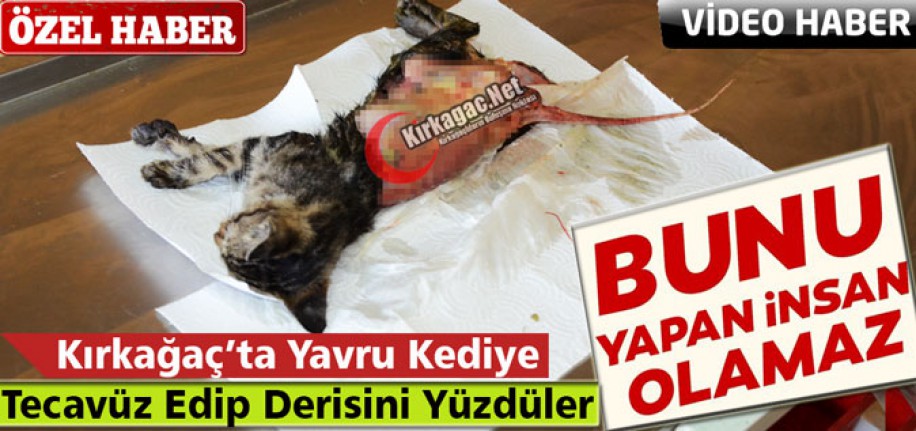 KIRKAĞAÇ’TA KEDİNİN DERİSİNİ YÜZDÜLER(ÖZEL HABER)