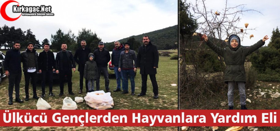 ÜLKÜCÜ GENÇLERDEN HAYVANLARA YARDIM ELİ