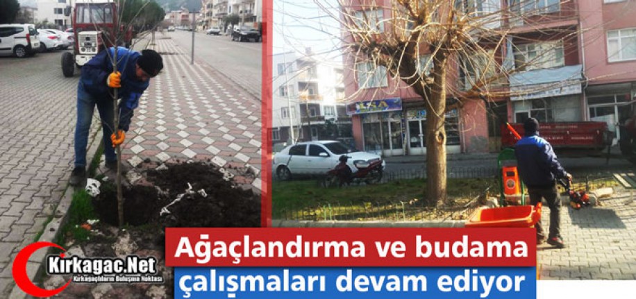 AĞAÇLANDIRMA ve BUDAMA ÇALIŞMALARI DEVAM EDİYOR