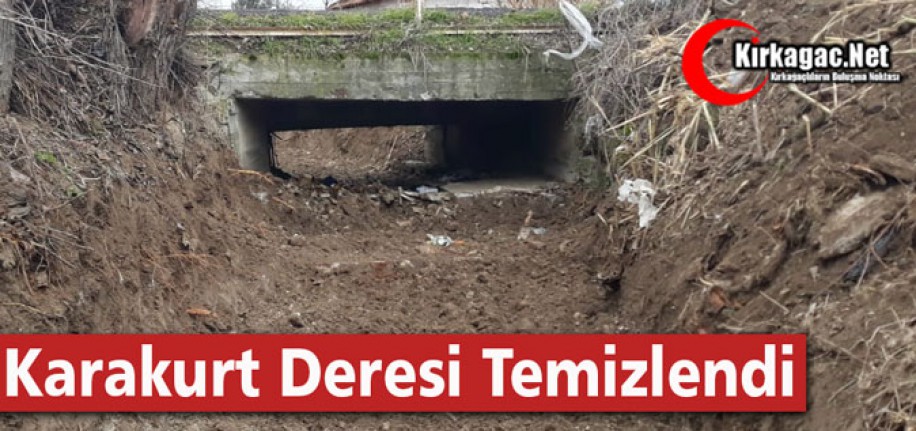 KARAKURT DERESİ TEMİZLENDİ