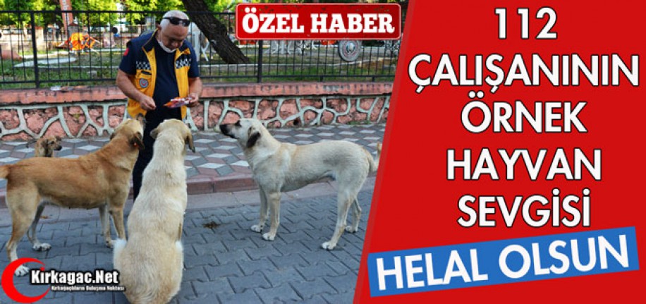 112 ÇALIŞANININ ÖRNEK HAYVAN SEVGİSİ(ÖZEL HABER)