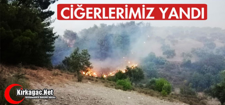 CİĞERLERİMİZ YANDI