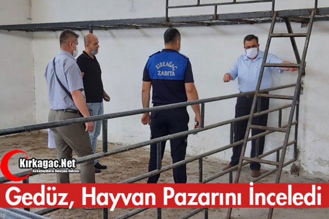 GEDÜZ, HAYVAN PAZARINI İNCELEDİ