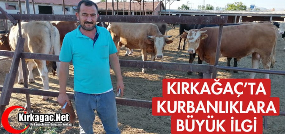 KIRKAĞAÇ'TA KURBANLIKLARA İLGİ BÜYÜK