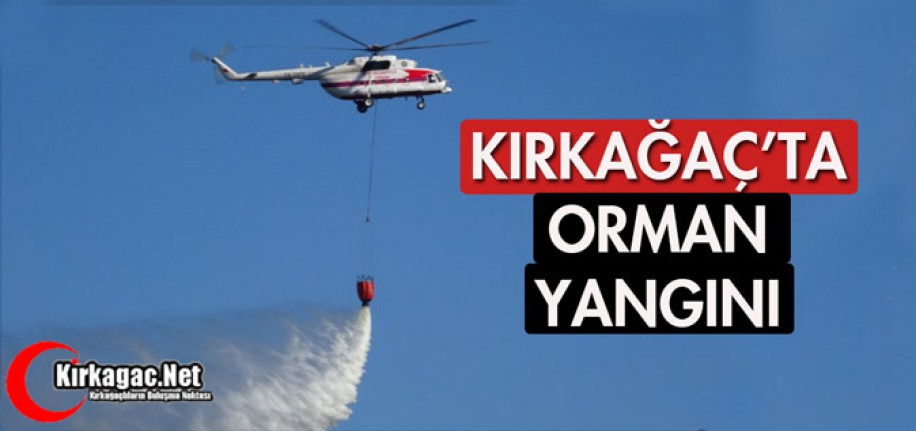 KIRKAĞAÇ'TA ORMAN YANGINI