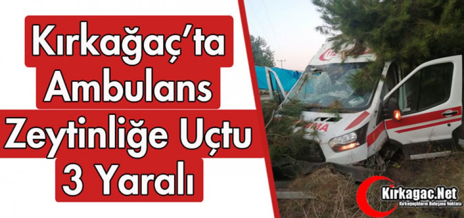 KIRKAĞAÇ'TA AMBULANS ZEYTİNLİĞE UÇTU