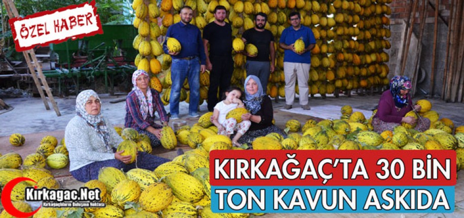 KIRKAĞAÇ'TA 30 BİN TON KAVUN ASKIDA(ÖZEL HABER)