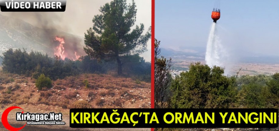 KIRKAĞAÇ'TA ORMAN YANGINI(VİDEO)