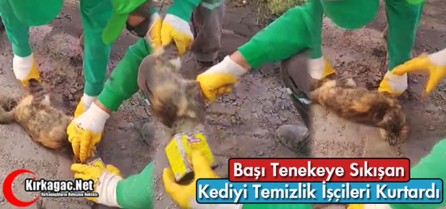 BAŞI TENEKEYE SIKIŞAN KEDİYİ TEMİZLİK İŞÇİLERİ KURTARDI