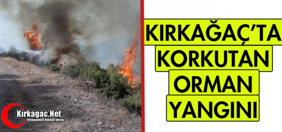 KIRKAĞAÇ'TA ORMAN YANGINI