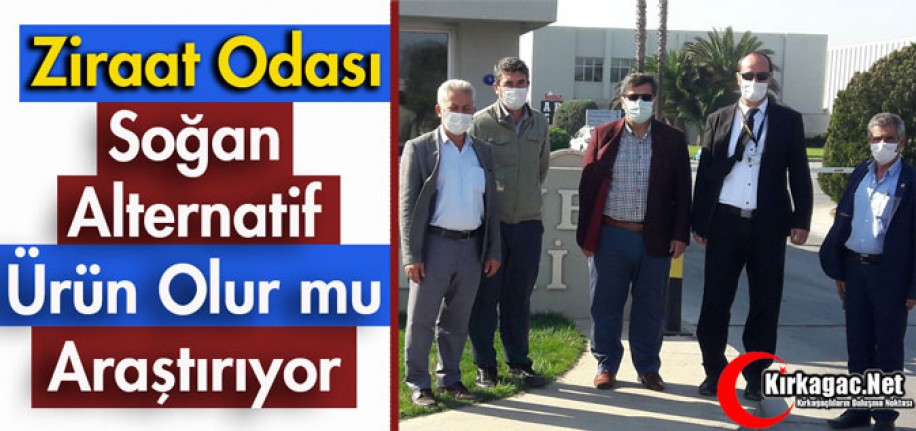 ZİRAAT ODASI "SOĞAN ALTERNATİF ÜRÜN OLUR MU" ARAŞTIRIYOR