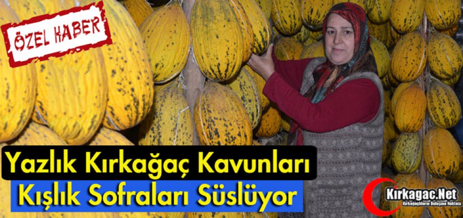 YAZLIK KIRKAĞAÇ KAVUNLARI KIŞ SOFRALARINI SÜSLÜYOR(ÖZEL HABER)