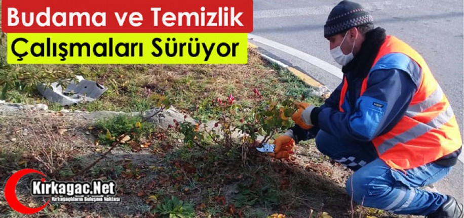 BELEDİYE, BUDAMA ve TEMİZLİK ÇALIŞMALARINI SÜRDÜRÜYOR