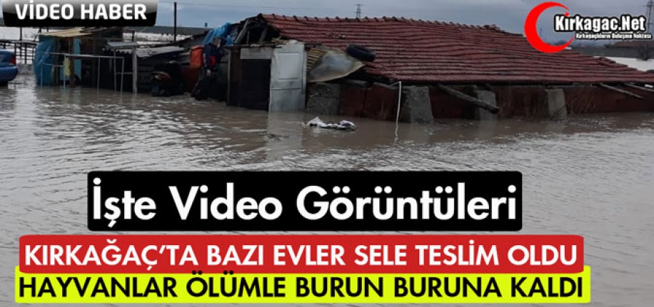 BAZI EVLER SELE TESLİM OLDU, HAYVANLAR ÖLÜMLE BURUN BURUNA KALDI