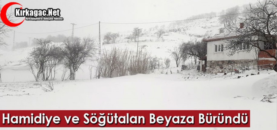 HAMİDİYE ve SÖĞÜTALAN BEYAZA BÜRÜNDÜ