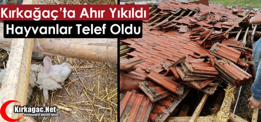 AHIR YIKILDI HAYVANLAR TELEF OLDU