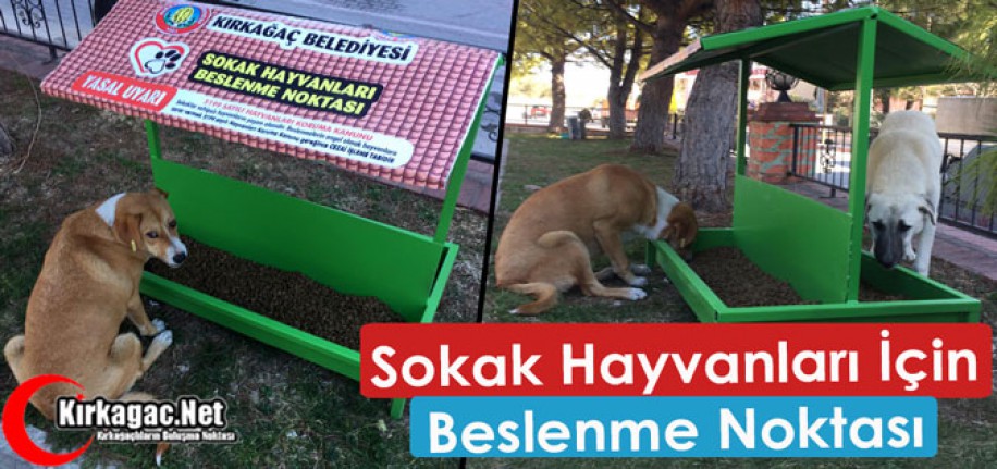 BELEDİYEDEN SOKAK HAYVANLARI İÇİN “BESLENME NOKTASI”