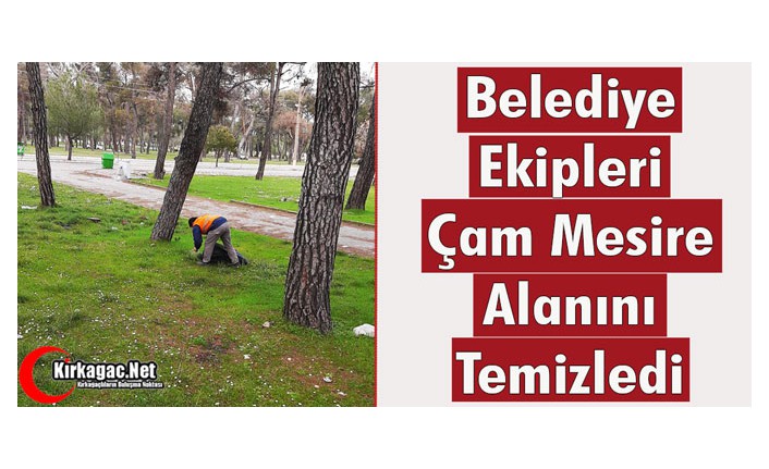 BELEDİYE EKİPLERİ ÇAM MESİRE ALANINI TEMİZLEDİ