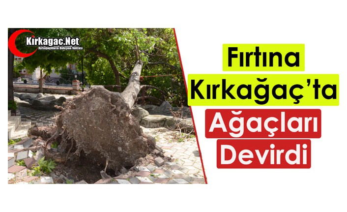 KIRKAĞAÇ'TA FIRTINA AĞAÇLARI DEVİRDİ