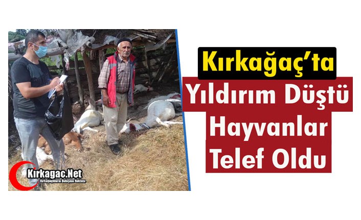 KIRKAĞAÇ'TA YILDIRIM DÜŞTÜ, HAYVANLAR TELEF OLDU