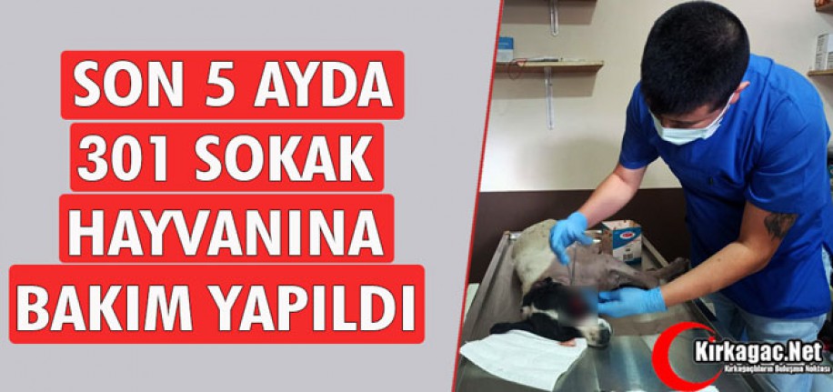 SON 5 AYDA 301 SOKAK HAYVANINA BAKIM YAPILDI 