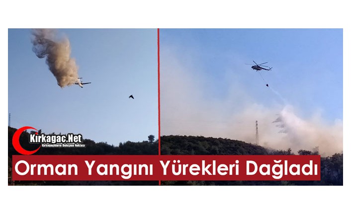 ORMAN YANGINI YÜREKLERİ DAĞLADI