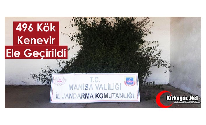 496 Kök Kenevir Ele Geçirildi