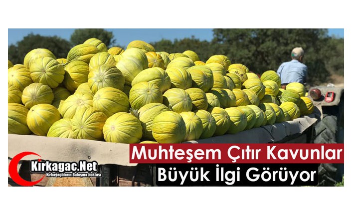 MUHTEŞEM ÇITIR KAVUNLAR BÜYÜK İLGİ GÖRÜYOR