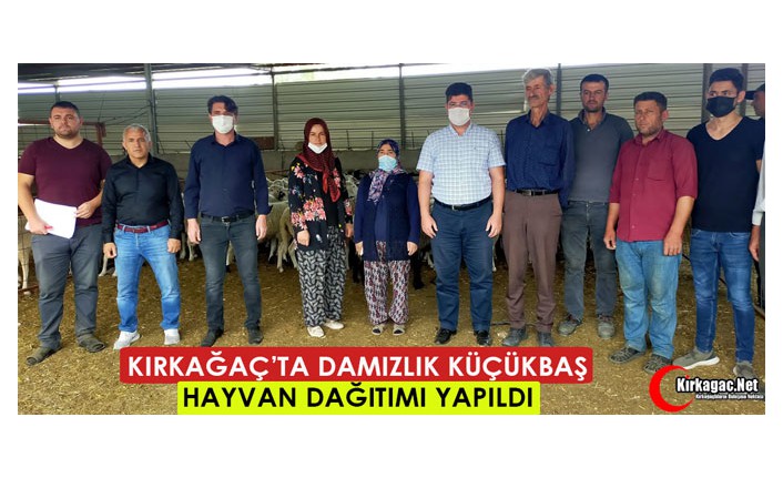 KIRKAĞAÇ’TA DAMIZLIK KÜÇÜKBAŞ HAYVAN DAĞITIMI YAPILDI