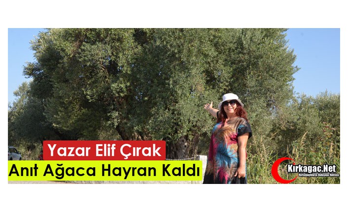 YAZAR ELİF ÇIRAK “TARİHİ ANIT AĞACA” HAYRAN KALDI