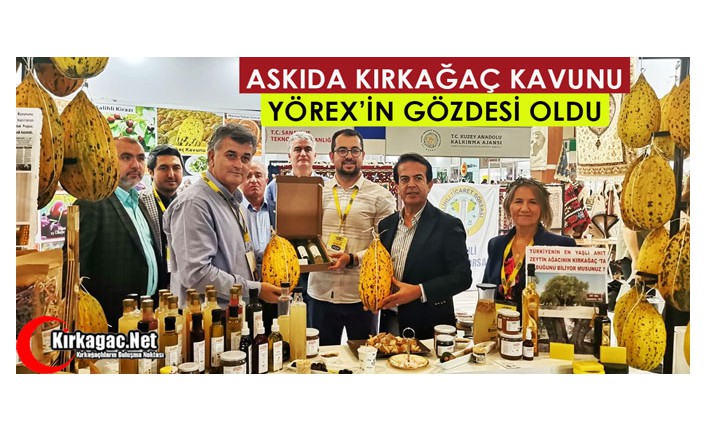 ASKIDA KIRKAĞAÇ KAVUNU YÖREX’İN GÖZDESİ OLDU