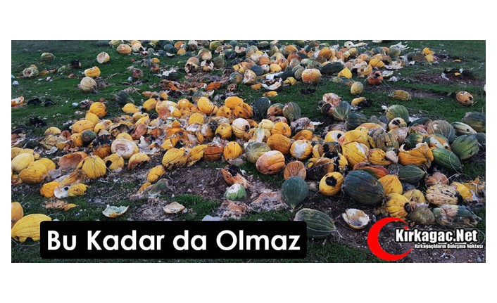 BU KADAR DA OLMAZ ARTIK