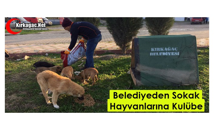 BELEDİYEDEN SOKAK HAYVANLARI İÇİN KULÜBE