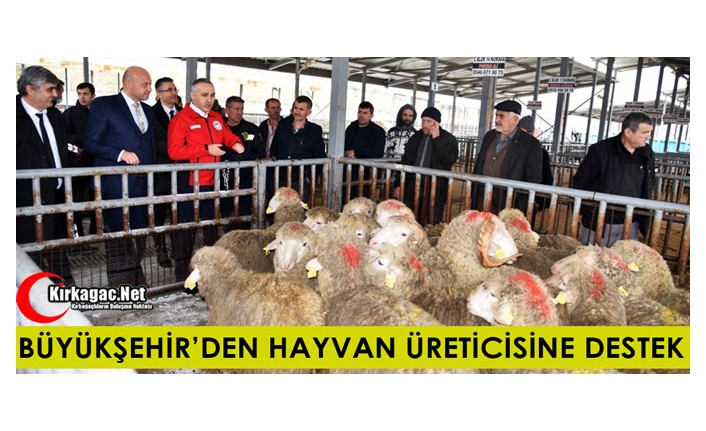 BÜYÜKŞEHİR’DEN HAYVAN ÜRETİCİSİNE DESTEK