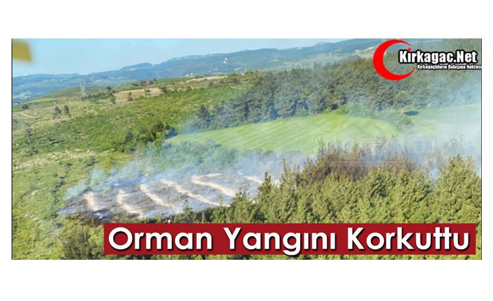 ORMAN YANGINI KORKUTTU