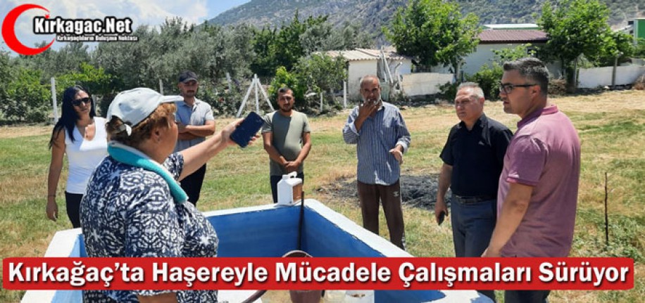 KIRKAĞAÇ'TA HAŞEREYLE MÜCADELE ÇALIŞMALARI SÜRÜYOR