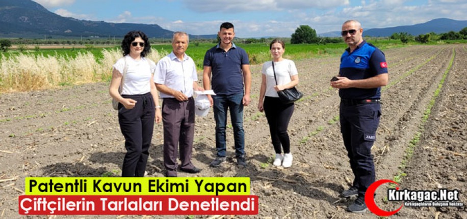 PATENTLİ KAVUN EKİMİ YAPAN ÇİFTÇİLERİN TARLARI DENETLENDİ