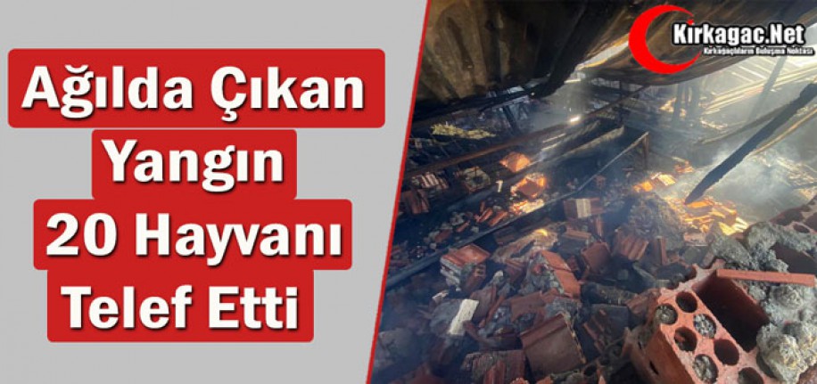 AĞILDA ÇIKAN YANGIN 20 HAYVANI TELEF ETTİ  